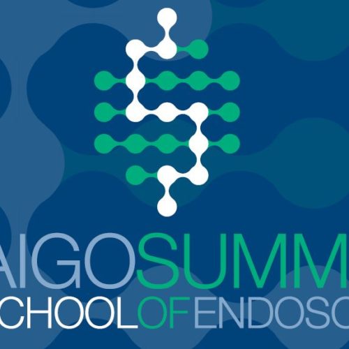 3° AIGO Summer School of Endoscopy – Rimini – dal 19 al 21 settembre 2019