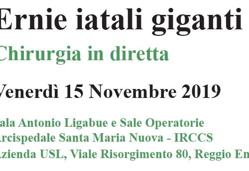 IRCCS – Ernie iatali giganti – Reggio Emilia- 15 novembre 2019