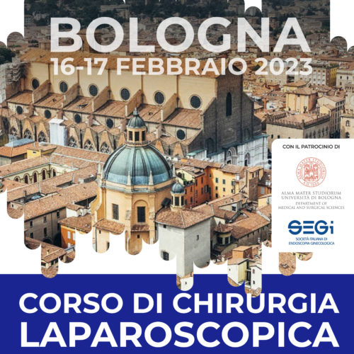 16-17 febbraio – Corso di chirurgia laparoscopica