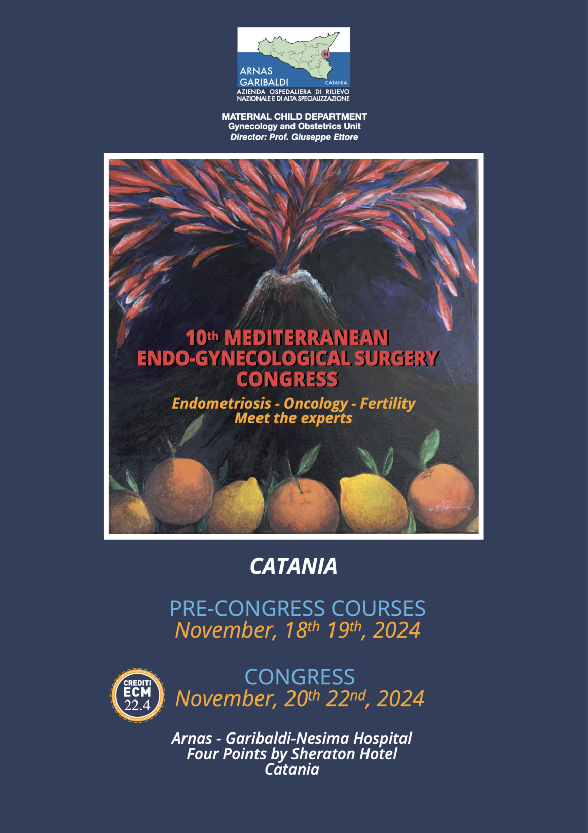 November 18-22, 2024 Catania – 10 MEDITERRANEAN ENDO-GYNECOLOGICALSURGERY CONGRESS