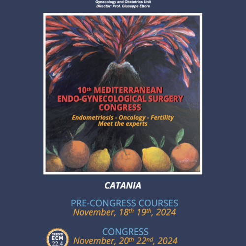 18-22 Novembre 2024 Catania – 10 MEDITERRANEAN ENDO-GYNECOLOGICALSURGERY CONGRESS