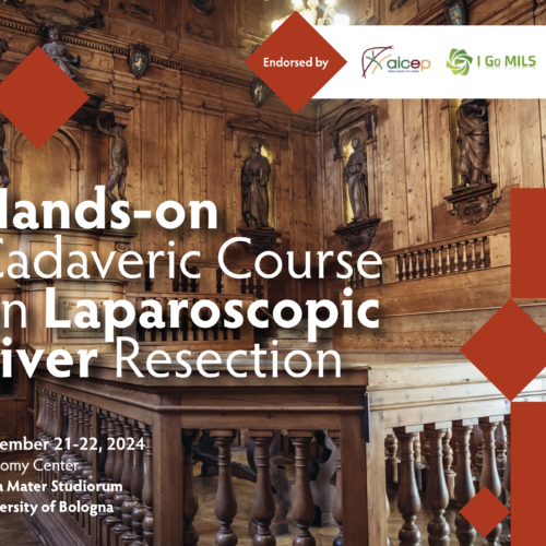 November 21-22, 2024 Bologna – Hands-on Cadaveric Course on Laparoscopic Liver Resection