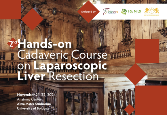 November 21-22, 2024 Bologna – Hands-on Cadaveric Course on Laparoscopic Liver Resection