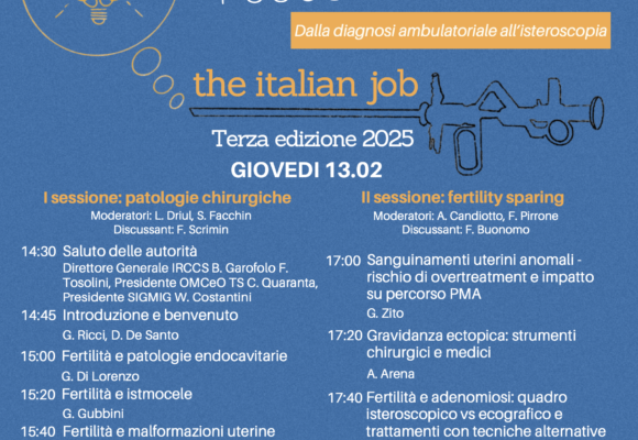 13-14 February, Trieste – Think Tank Hysteroscopy