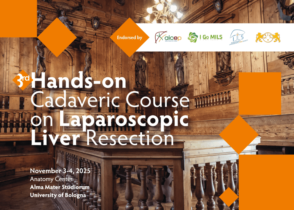 3.–4. November, Bologna – Praktischer Kadaverkurs zur laparoskopischen Leberresektion