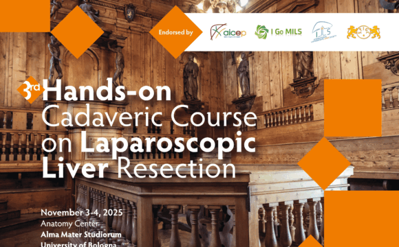Schermata 2025-11-07 alle 09.47.57 (1) 3.–4. November, Bologna – Praktischer Kadaverkurs zur laparoskopischen Leberresektion
